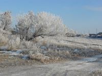 DSCN5494.JPG