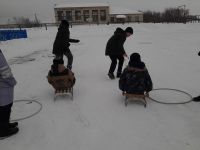 IMG_20110411_093203.jpg
