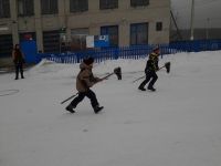 IMG_20110411_095212.jpg