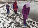 Забота о журавле