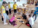 «Каникулы, каникулы – веселая пора!»