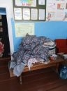 Акции «Посылка солдату СВО», «Своим помогаем», «Посылка из дома»