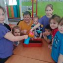 Волшебная домашняя грядка